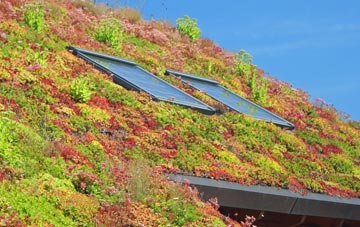 Harrogate living roof systems